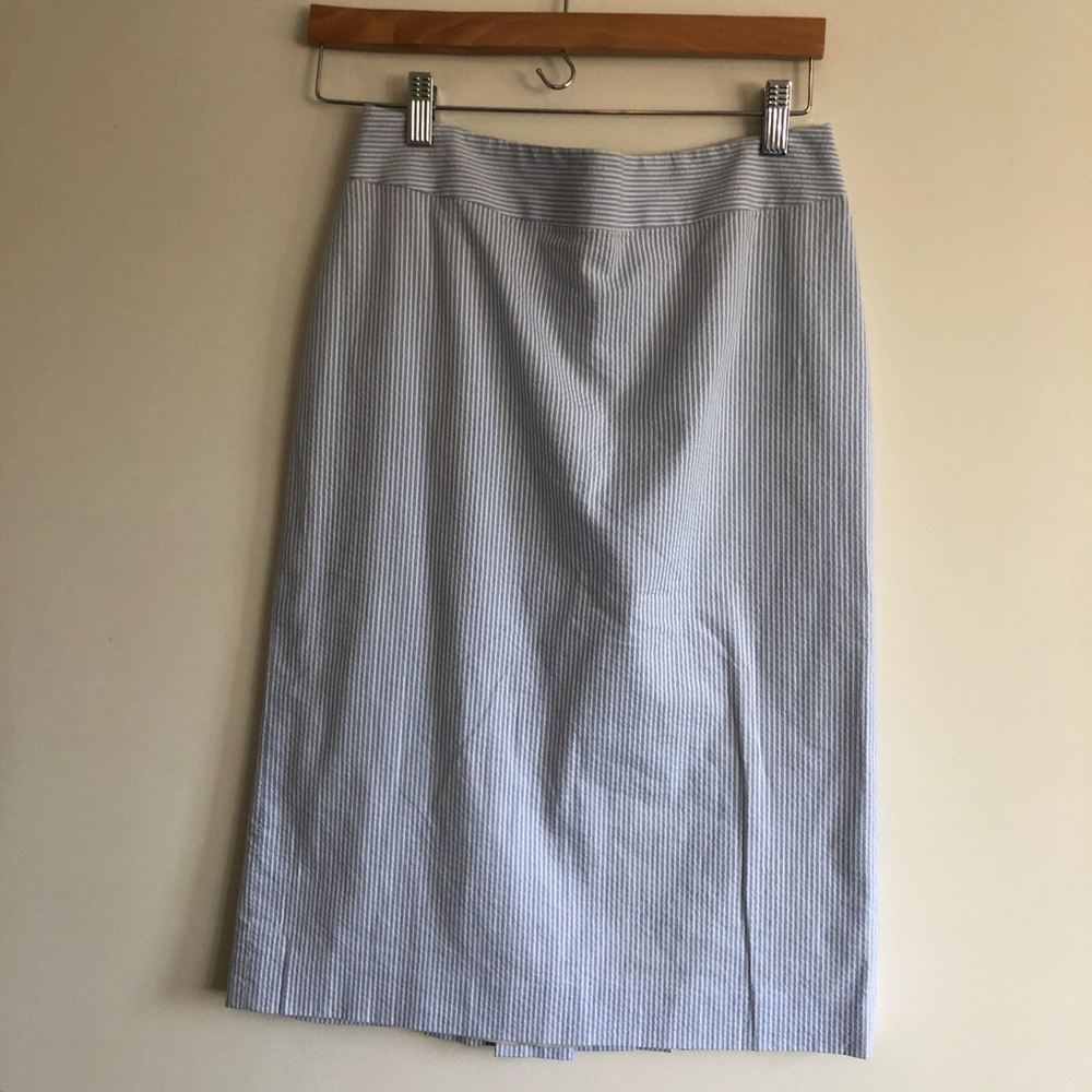 Blue skirt